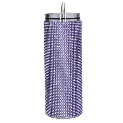 Stainless Steel Insulated Tumbler with Straw